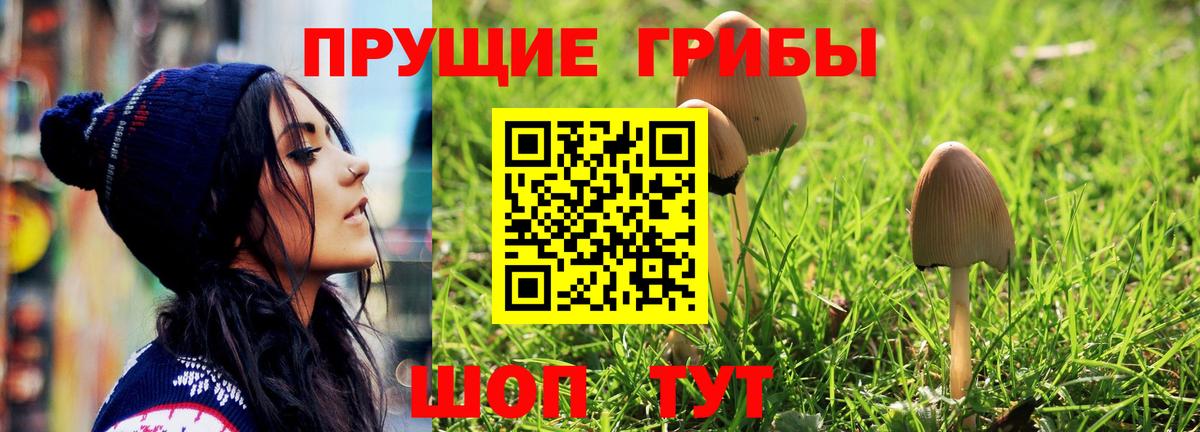 Чебоксары  Псилоцибиновые грибы прущие грибы  Псилоцибиновые грибы MAGIC MUSHROOMS  Вход с VPN 