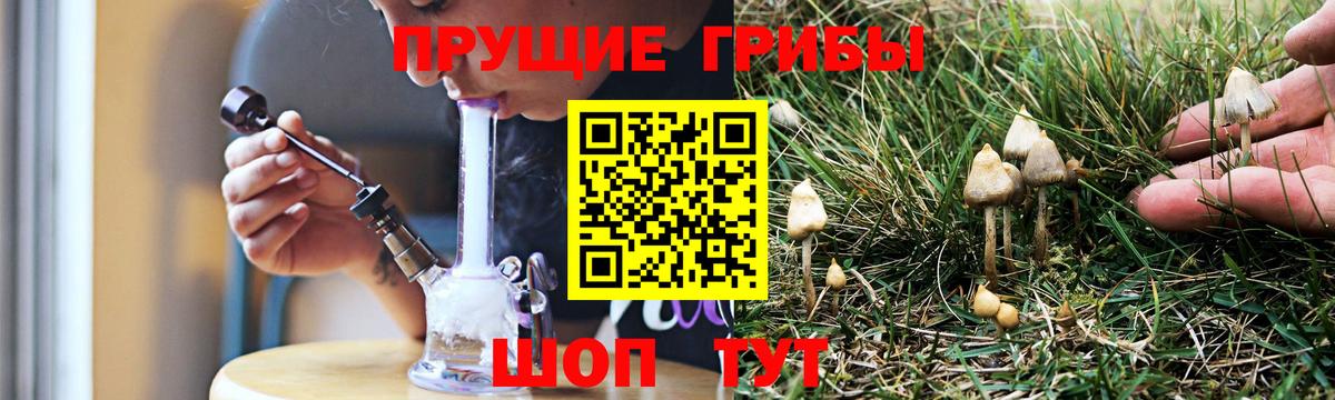 Галлюциногенные грибы прущие грибы Чебоксары